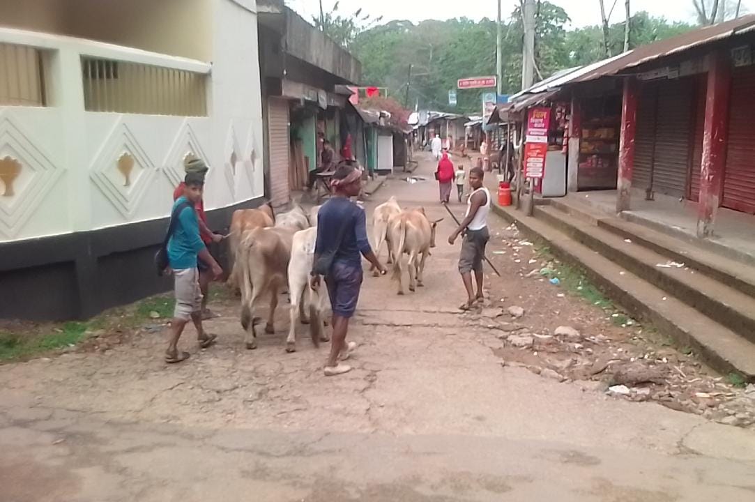 সিলেটের যে বাজারে চোরাচালানের পশু বৈধ