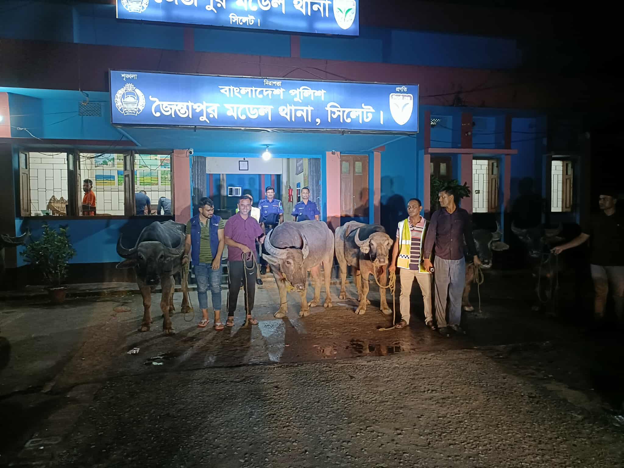 জৈন্তাপুরে মহিষ জব্দ, মামলা নিয়ে ভিন্নমত তদন্তে গুরুত্ব দিচ্ছে থানা প্রশাসন