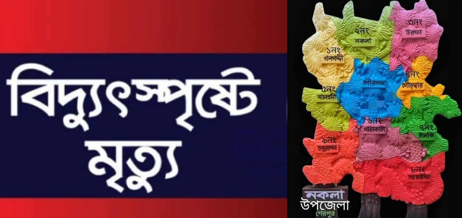 নকলায় বাবার বাড়িতে বেড়াতে এসে মেয়ের মৃত্যু