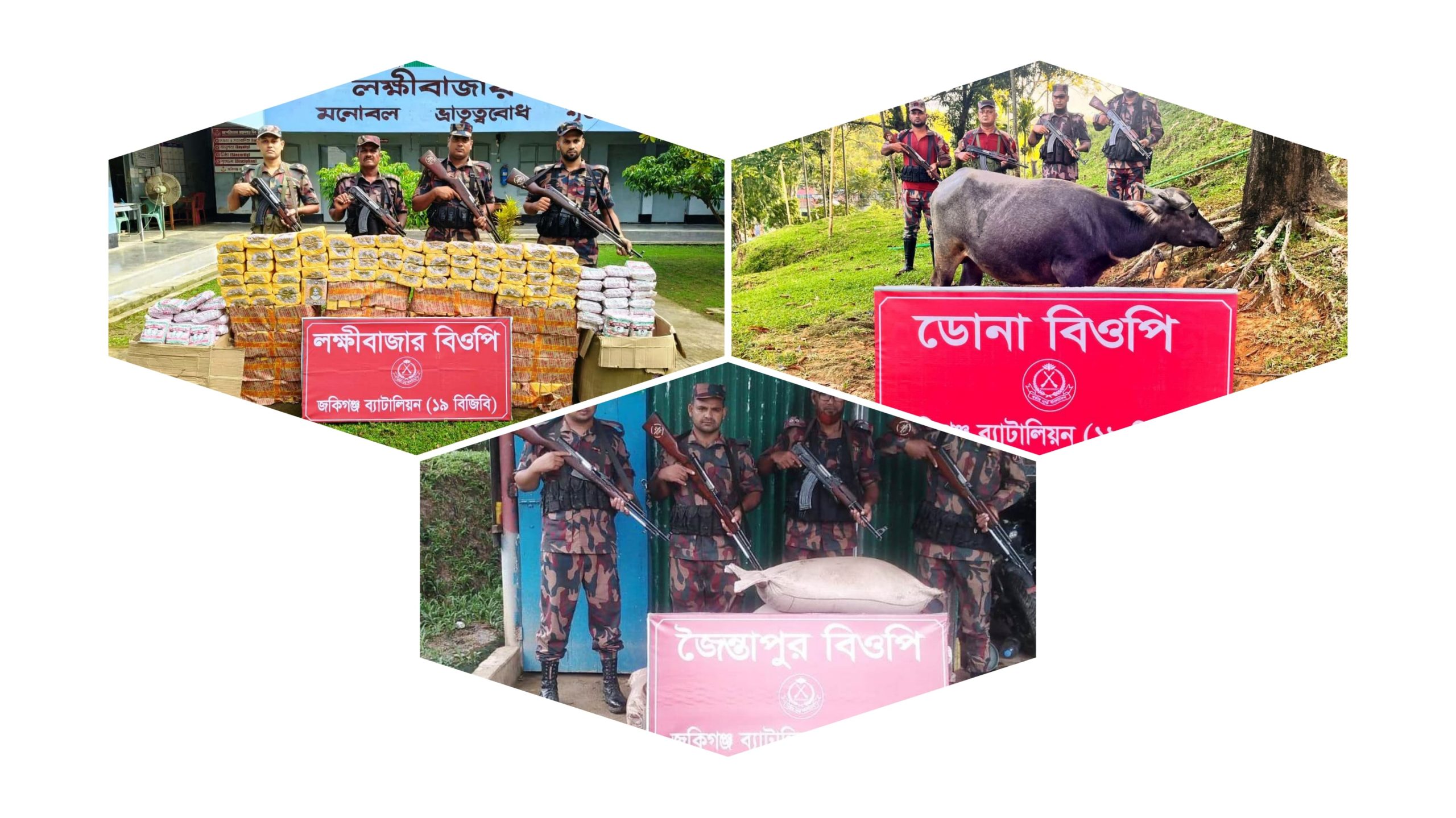 সিলেটে পৃথক অভিযানে মহিষ ও বিড়িসহ ৫ লক্ষ টাকার ভারতীয় চোরাই পন্য  জব্দ