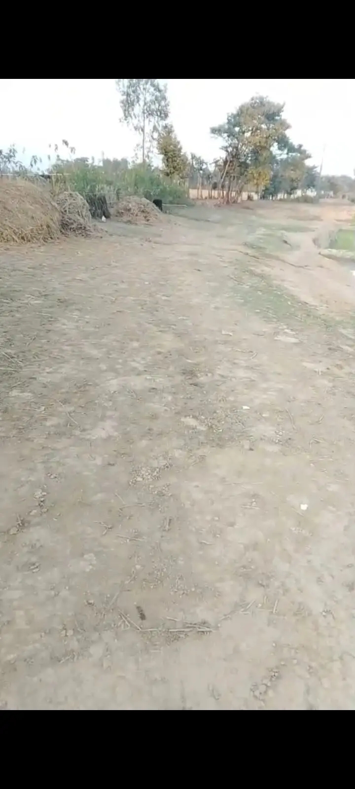 শান্তিগঞ্জে গ্রামবাসীর কবরস্থানের নামে সরকারি বরাদ্দ নিয়ে মালিকানাধীন জায়গায় মাটি ভরাটের অভিযোগ