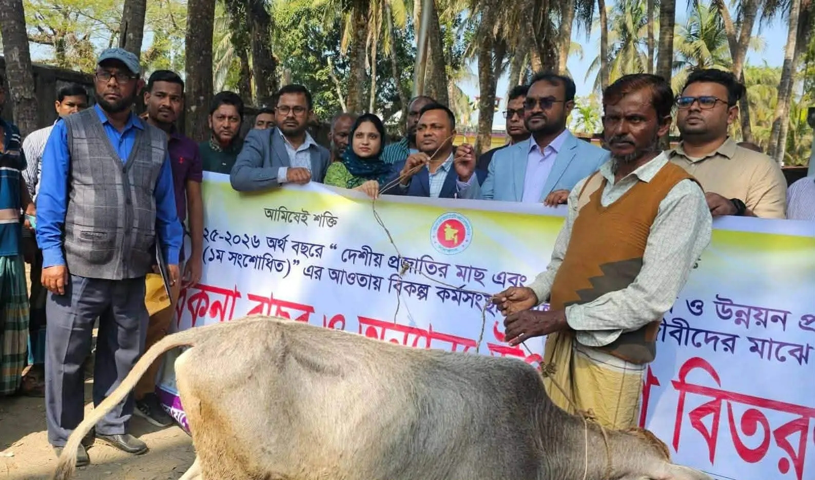 কাঠালিয়ায় ৬০ জন মৎস্যজীবীর মাঝে বকনা বাছুর বিতরণ