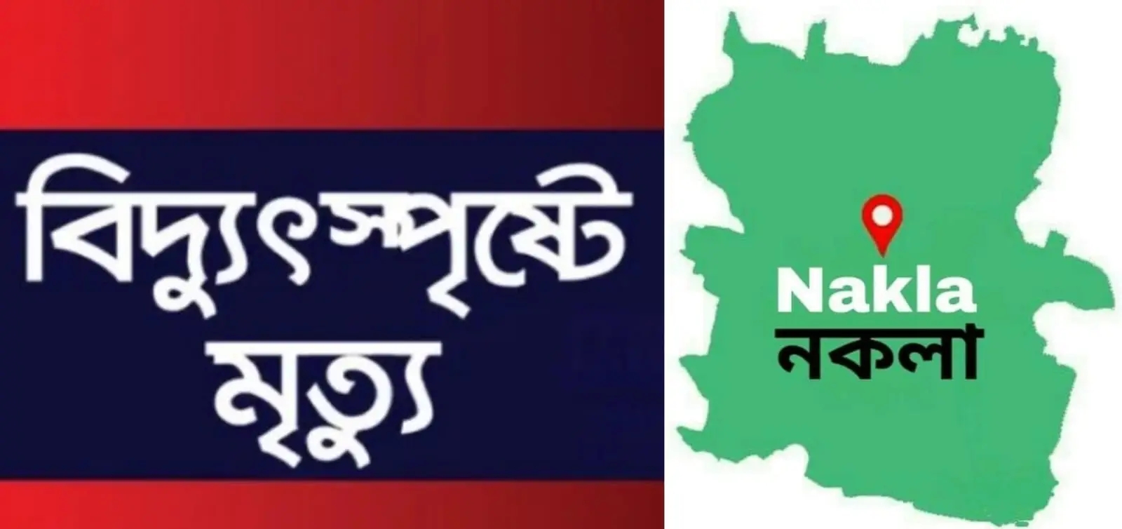 নকলায় ১ জনকে বাঁচাতে গিয়ে বিদ্যুৎস্পৃষ্টে প্রাণ গেল ২ জনের, আহত আরও ১