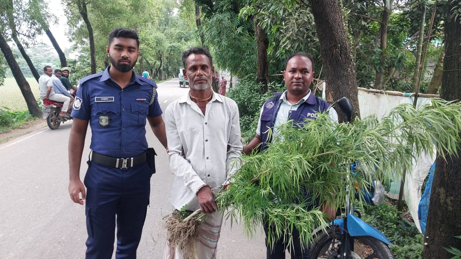 সুনামগঞ্জের হরিনগরে বাড়ির ছাঁদ থেকে গাঁজার গাছসহ ১ জন আটক