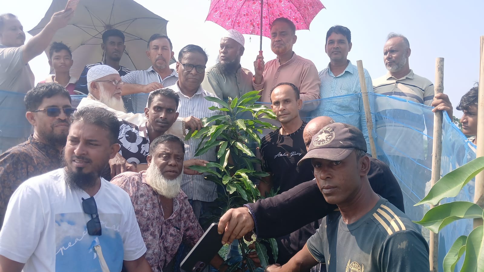 শান্তিগঞ্জের উত্তর গাজীনগরে ৫ হাজার বৃক্ষরোপণ কর্মসূচি শুরু