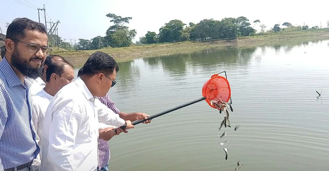 শান্তিগঞ্জে ২৬২.৫ কেজি মাছের পোনা অবমুক্ত